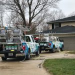 Driveway Cleaning