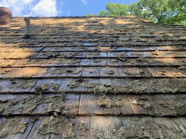 Why is Roof Cleaning So Important?