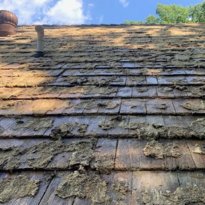 Shake Roof Cleaning 
